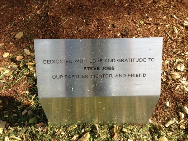 Pixar-Tree-Plaque dedicated to steve jobs